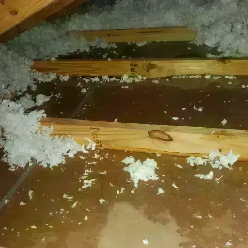 Attic Water Damage in Inglewood, CA